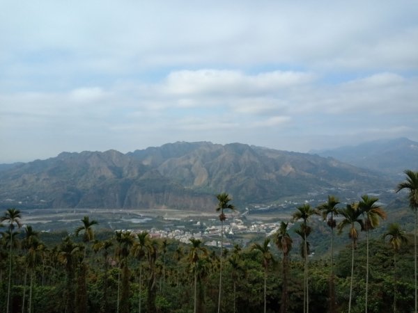 20220205南投草屯食水巷山、雙冬山基石風景1600030