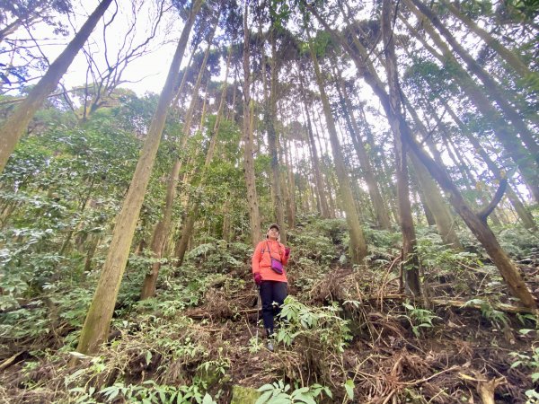 洗水山北峰.細道邦山(南峰)輕鬆撿--雲海花海看飽看滿   2022/2/101607010