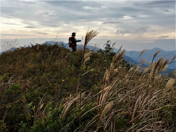 HK - 馬鞍山 (三角石河)1270479