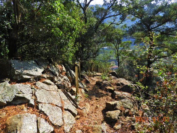 南投 國姓 梅島山1249997