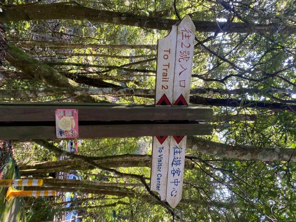 1140209雪見北坑山大板根2709961