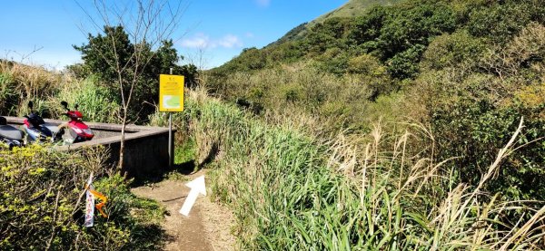 【中級山】台北版抹茶山竟然有免申請路線，小觀音山西峰單攻，順遊頂湖海芋步道，竹子湖黑森林2742410