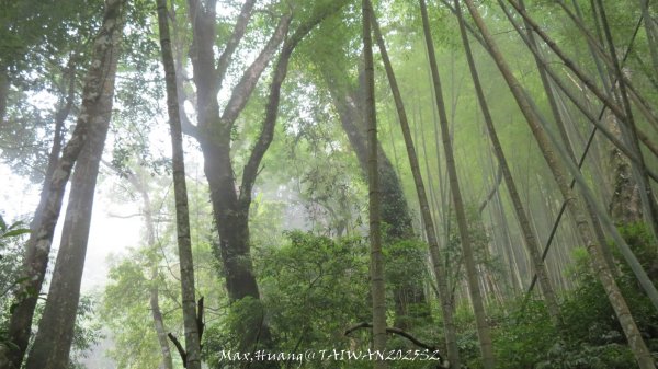 《雲林》望好望角｜石壁山嘉南雲峰步道(中側登山口）202506072805475