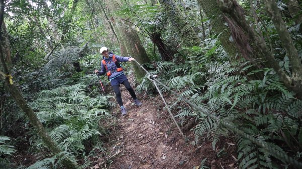 獵貍尖步道連走烏塗溪步道登山健行趣(淡蘭南路TK3-6&TK3-5&TK3-4)2404486