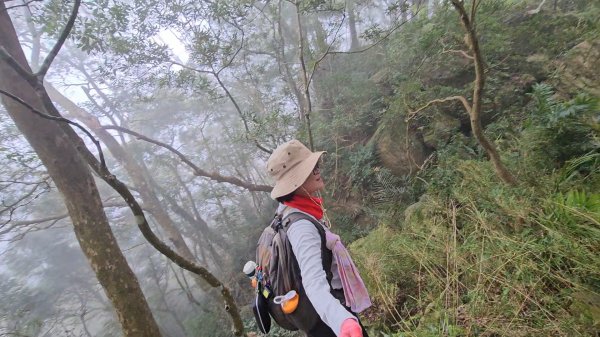 馬武督山西南峰+馬武督山O型走3012857