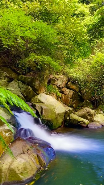 走青山瀑布探老梅冷泉|Qingshan Waterfall|秘境不秘|老梅瀑布|峯花雪月2561836