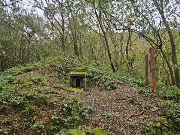 20241229貢寮到大溪(長潭山-西山-丁蘭山-三方向山-鹿窟尾山-睏牛山)2678879