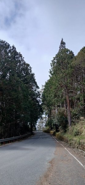 2025 3/1 三星山2723841