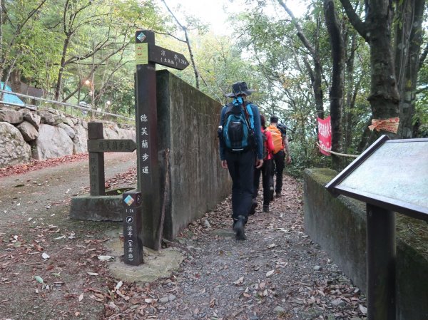 德芙蘭步道上東卯山488400