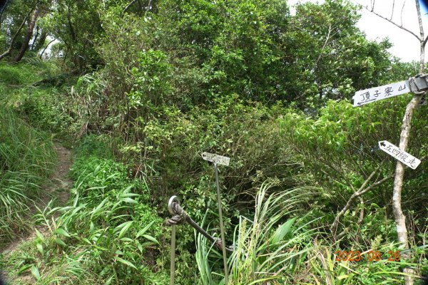 基隆 頂寮山、龍門山、五分山、頂子寮山2265959