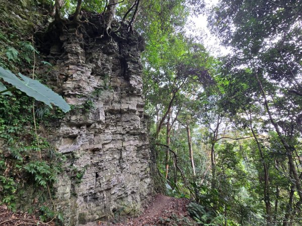 水雲三星～上島山（鳥嘴山）2931258
