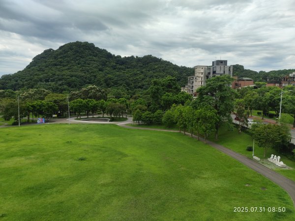 大湖公園→大溝溪生態治水園區→圓覺寺步道→圓覺瀑布→圓覺寺→鯉魚山步道【臺北大縱走 4、臺北健走趣】2849072