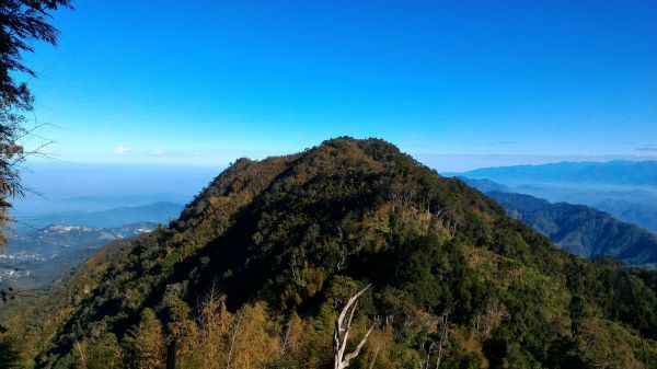 鳳凰山+南鳳凰山+溪頭縱走213522