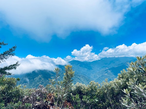 20260531觀霧榛山登山步道（榛山北峰+主峰+環形步道）3071482
