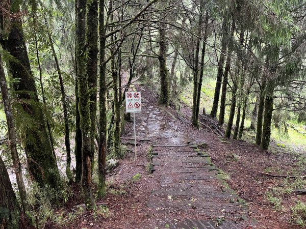 [玉山尋寶任務-02/12] 2025_0727 中之關、天池步道/南橫公路2847619