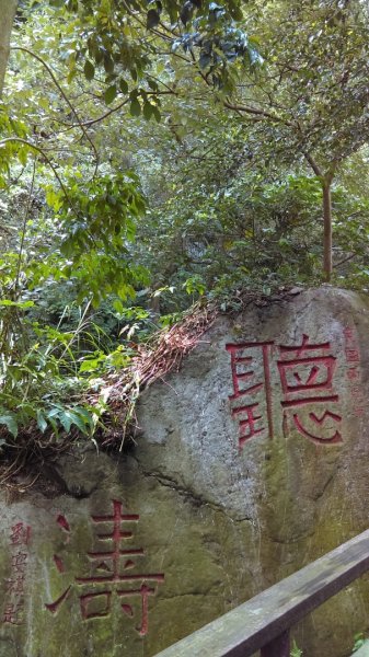 溪水潺涓的半嶺水圳步道、硫氣氤氳的龍鳳谷890852