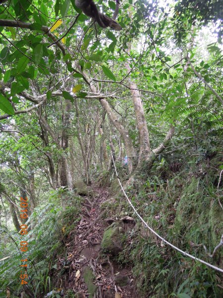 20190609_月扇湖山841488