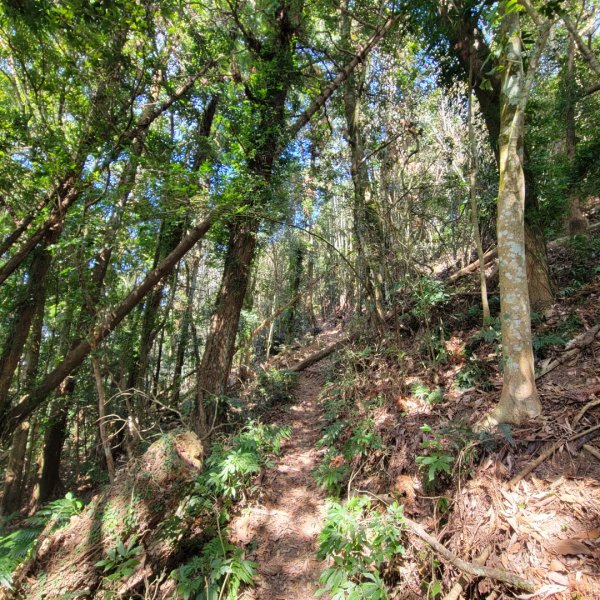 馬那邦山、細道邦山（小百岳）2435580