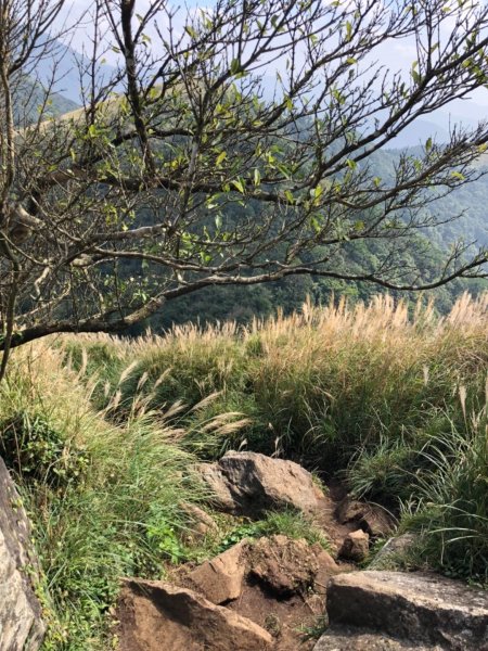 大屯山西峰542119