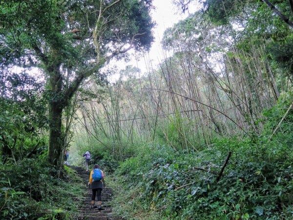 大凍山 頂湖 霹靂山O繞 二延平步道1773870