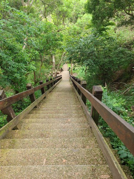 竹坑南寮登山步道~舒服山景2759644