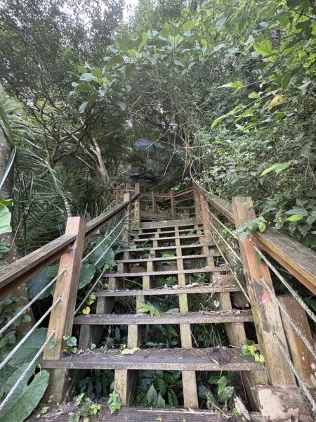 20251025南化龍湖寺至紫竹寺O繞(石松子山.大竹崙山.竹子尖山)2925087