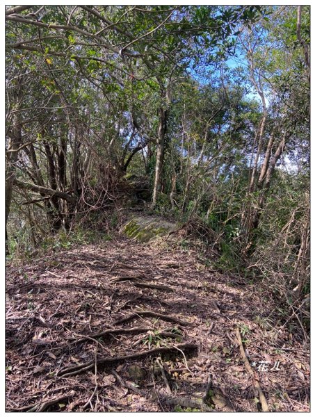 皇帝殿石壩尖、東峰、西峰連走(北峰登山口)2675651