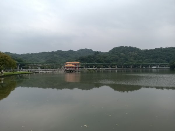 內湖區大湖公園+白鷺鷥山2931127