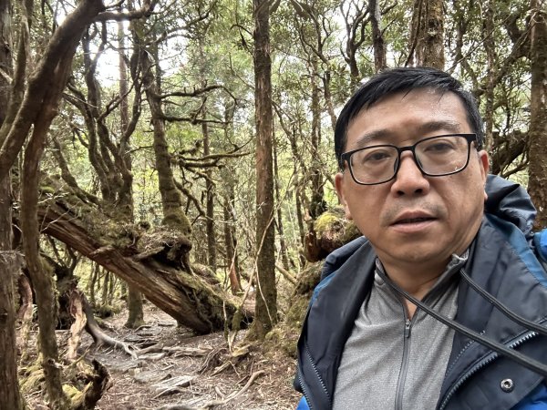 翠峰湖環山步道2763399