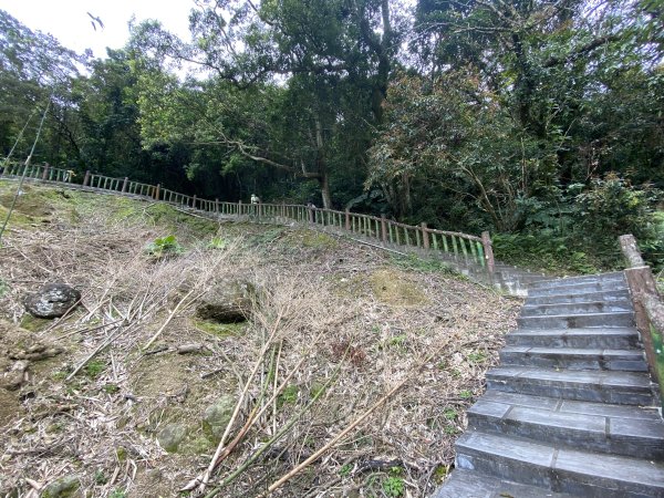 台北大縱走2026｜一天解鎖7顆寶石💎還嚕到4隻貓！第七段｜指南宮千階梯→貓空→樟湖步道→樟山寺3021799