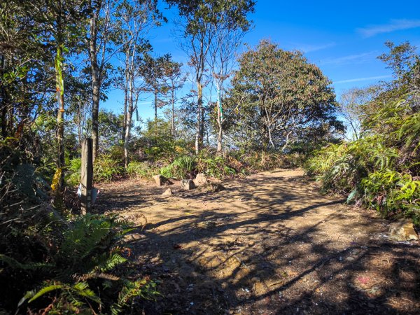 2025-12-21 武界山、獅凸魯山、橫屏山、橫屏山西峰2969700