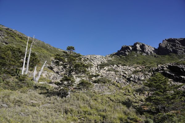 台灣百岳 | 玉山後四峰2575716