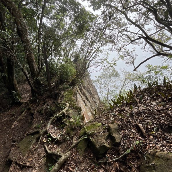 20251108_石壁山（雲林小百岳）2941452