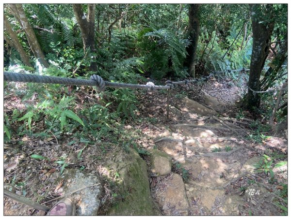 金龍湖、鷹石尖、老鷲尖、內溝山 O型一圈2966615