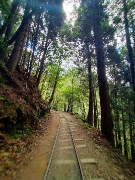 特富野古道2349565