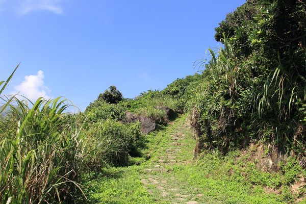 瑞芳南子吝登山步道204885