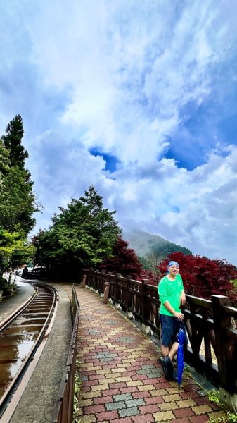 太平山2541786