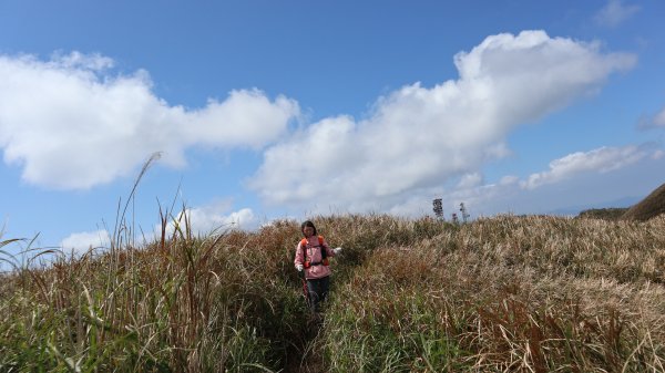 鶯子嶺山登山健行趣(效山)2070491