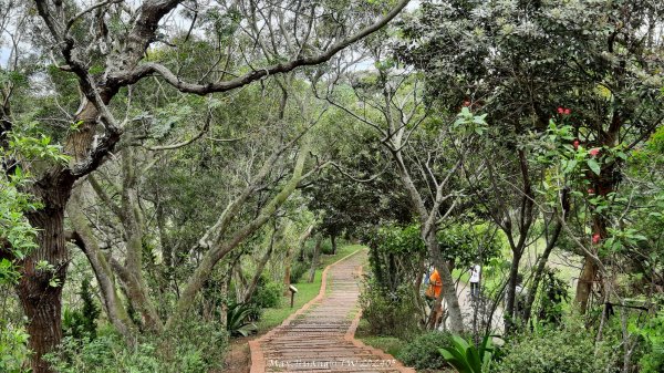 《台中》新觀景台｜竹坑南寮登山步道(南寮端起登)202405012493214