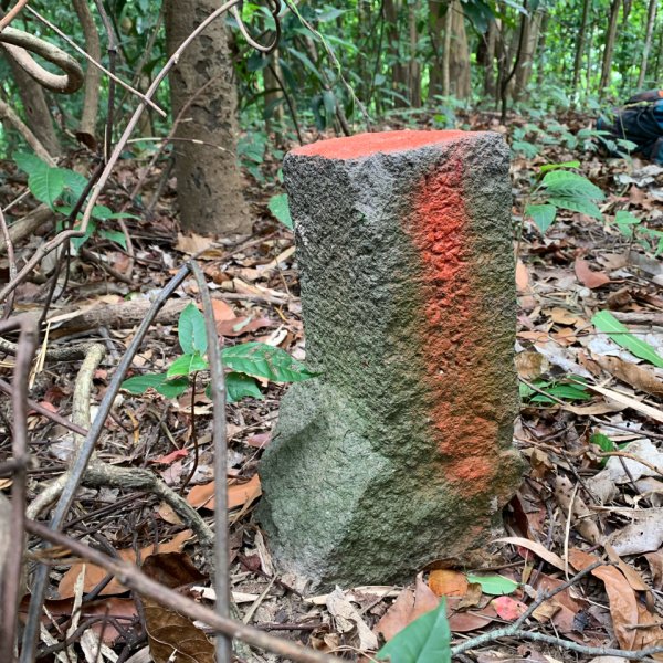 20250419屏東佳平山-虻彈山2767926