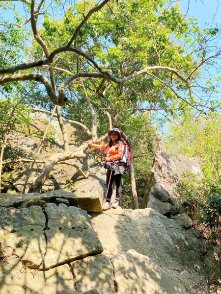 旗尾山(小百岳#)722765467