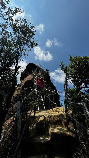 孝子山、普陀山、慈母峰賞鹿子野百合O走2592954