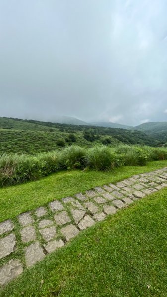 230701 擎天崗環形步道 🐂2201281