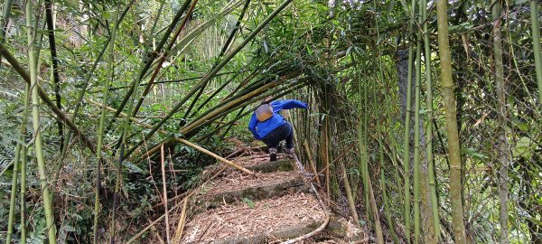 2025/02/08_苦苓腳古道2709241