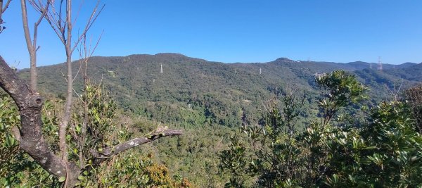 內湖金面山22690018