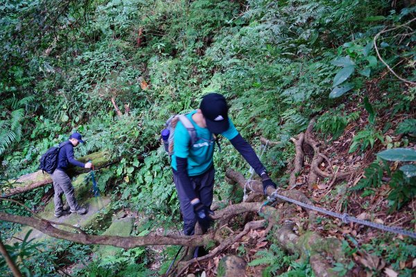 新竹關西鎮 水田林道之貴妃&那結山連走1539762
