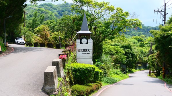 菁礐古圳步道,第51及64番石佛3040717