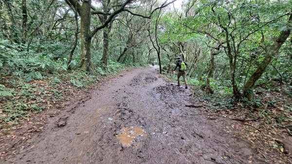 台北大縱走第一段1249200