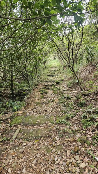 20260312瑞芳砲台山-水圳路3015919