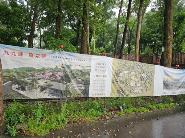 九九峰森林步道-(南投)臺灣百大必訪步道2805931